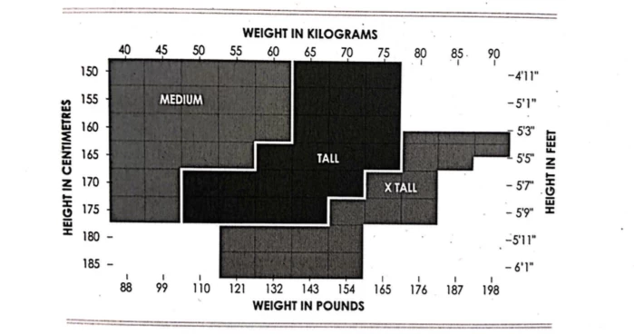 Levante Class Gloss Leg Regular Brief Pantyhose - Image 5